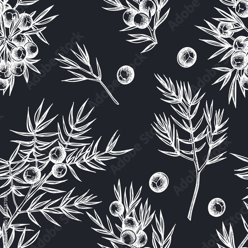 Seamless pattern with hand drawn chalk juniper