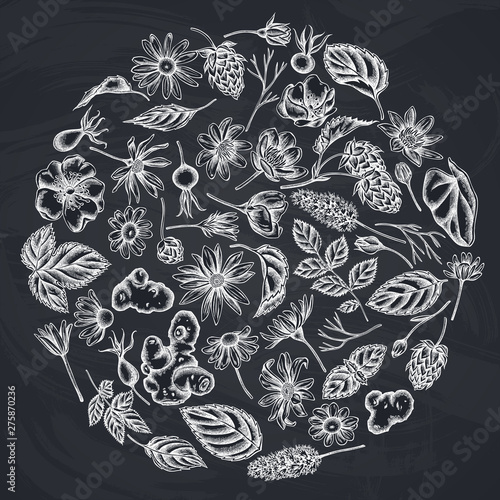Round floral design with chalk celandine, chamomile, dog rose, hop, jerusalem artichoke, peppermint