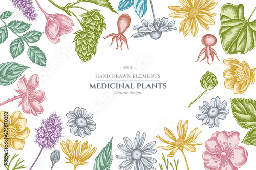 Floral design with pastel celandine, chamomile, dog rose, hop, jerusalem artichoke, peppermint