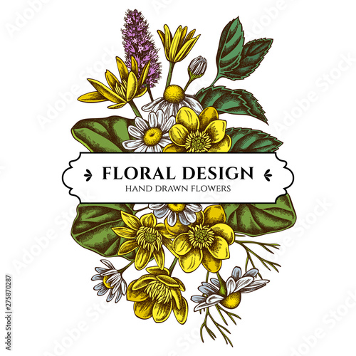 Floral bouquet design with colored celandine, chamomile, peppermint