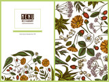 Menu cover floral design with colored aloe, calendula, lily of the valley, nettle, strawberry, valerian