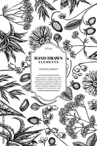 Card design with black and white aloe, calendula, lily of the valley, nettle, strawberry, valerian