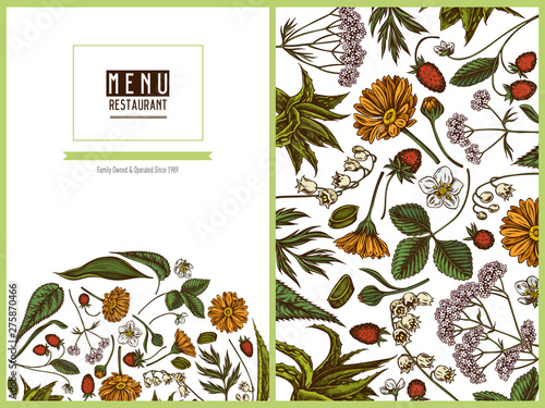 Menu cover floral design with colored aloe, calendula, lily of the valley, nettle, strawberry, valerian