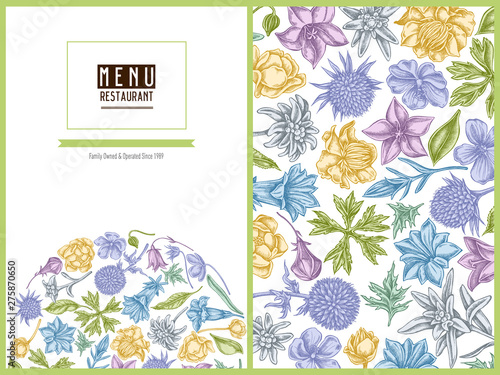 Menu cover floral design with pastel bellflower, edelweiss, globethistle, globeflower, meadow geranium, gentiana