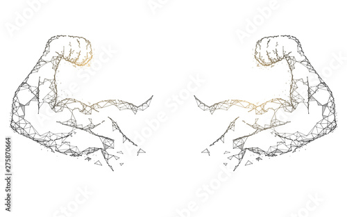 Strong muscles from lines, triangles and particle style design. Illustration vector