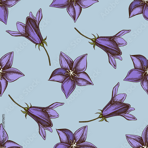 Seamless pattern with hand drawn colored bellflower