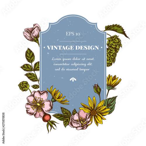 Badge design with colored dog rose, hop, jerusalem artichoke