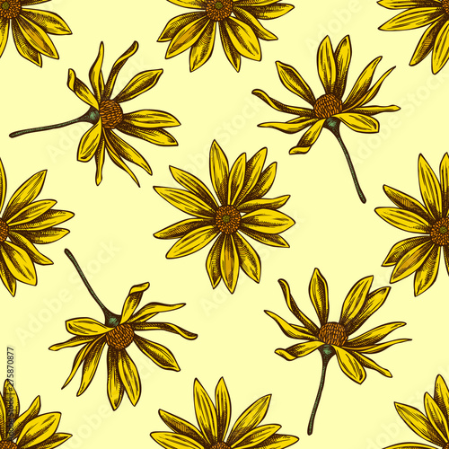 Seamless pattern with hand drawn colored jerusalem artichoke