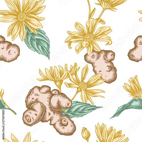 Seamless pattern with hand drawn pastel jerusalem artichoke