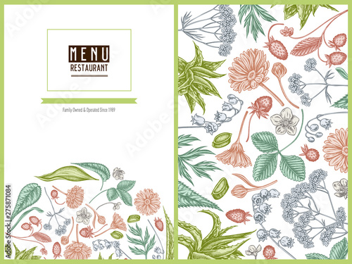 Menu cover floral design with pastel aloe, calendula, lily of the valley, nettle, strawberry, valerian