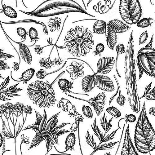 Seamless pattern with black and white aloe, calendula, lily of the valley, nettle, strawberry, valerian