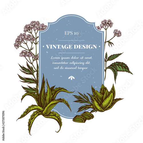 Badge design with colored aloe, nettle, valerian