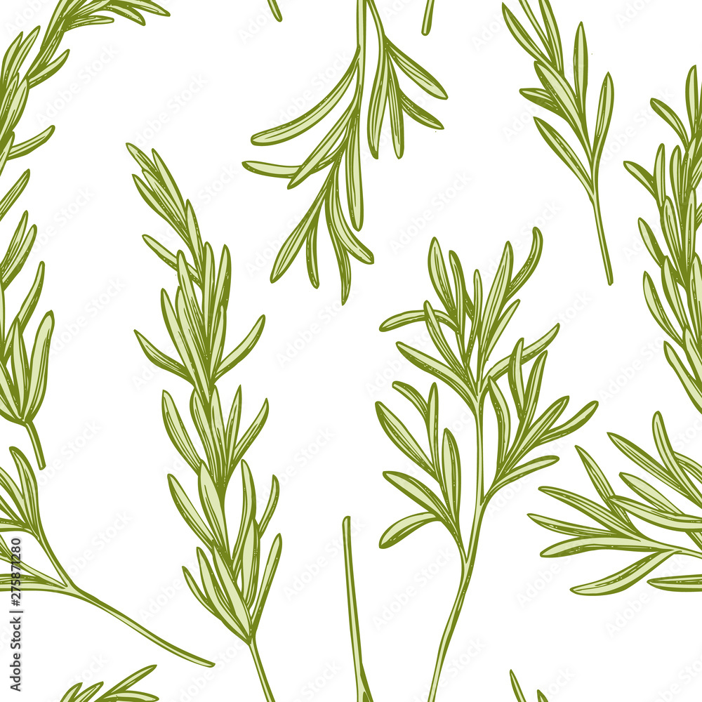 Fototapeta premium Seamless pattern with hand drawn pastel rosemary