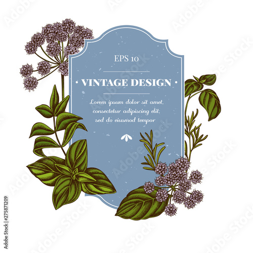 Badge design with colored angelica, basil, rosemary