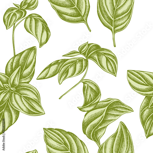 Seamless pattern with hand drawn pastel basil