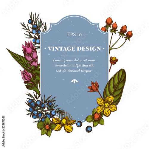 Badge design with colored juniper, hypericum, turmeric