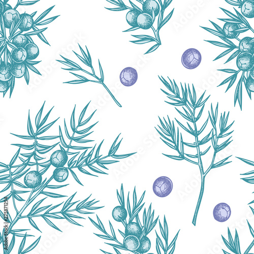 Seamless pattern with hand drawn pastel juniper