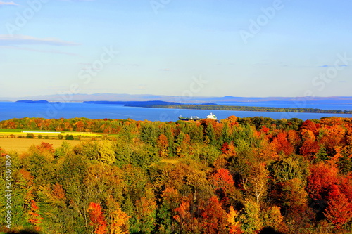 arbre, couleurs d'automne et fleuve