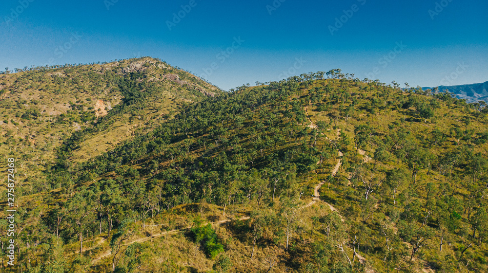 Fototapeta premium Townsville Landscape