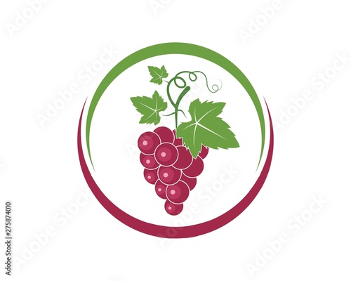 Grape fruits with leaf icon vector illustrtion