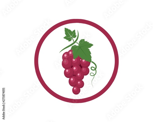 Grape fruits with leaf icon vector illustrtion