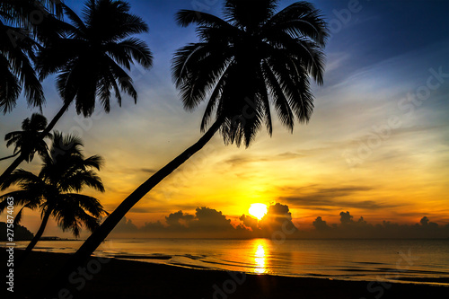 Sunrise silhouette group coconut on beach
