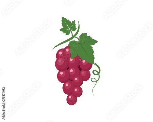 Grape fruits with leaf icon vector illustrtion