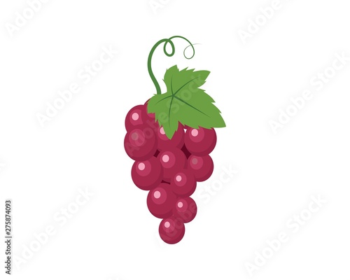 Grape fruits with leaf icon vector illustrtion