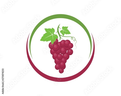 Grape fruits with leaf icon vector illustrtion