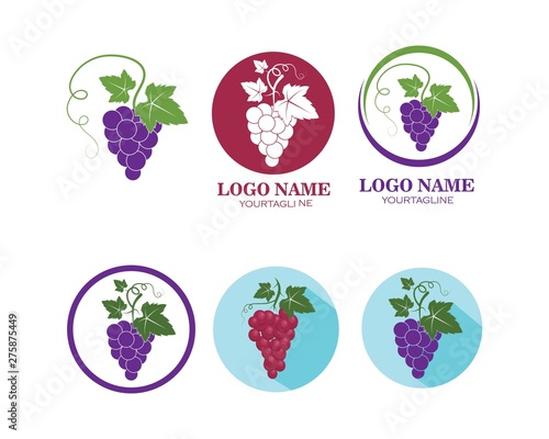 Grape fruits with leaf icon vector illustrtion