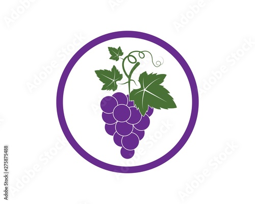 Grape fruits with leaf icon vector illustrtion