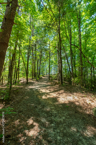 Path to Jumping Off Rock  Jocassee Gorges Wilderness Area  South Carolina