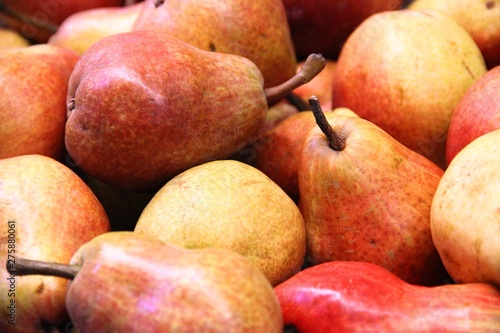 Lot of red pears, background. Harvest