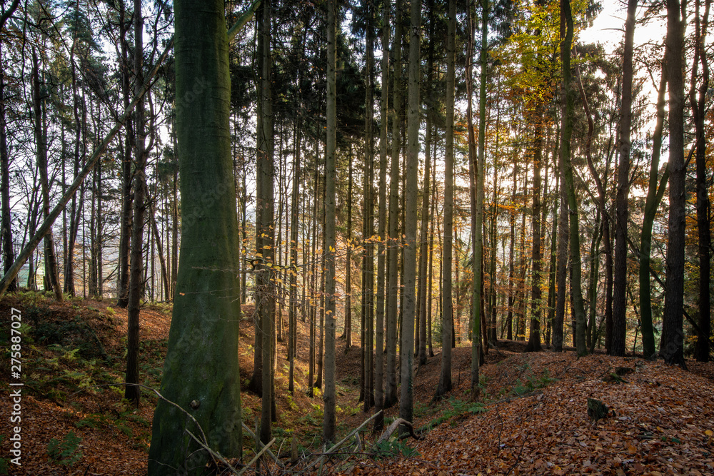 Fototapeta premium Tecklenburger Land 1