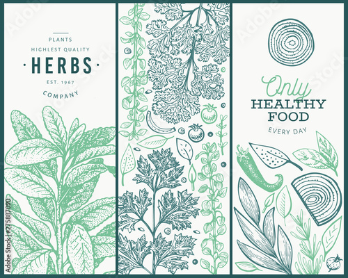 Set of tree culinary herbs banner templates. Hand drawn vintage botanical illustration. Engraved style designs. Vintage food background.