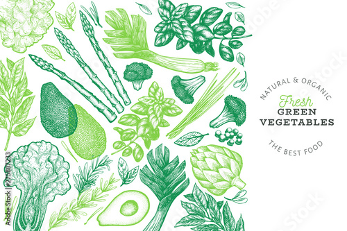 Green vegetables design template. Hand drawn vector food illustration. Engraved style vegetable frame. Retro botanical banner.