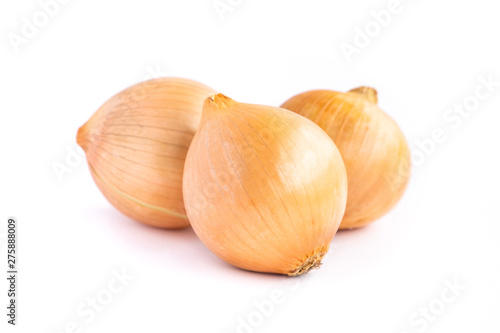 Onion isolated on white background.