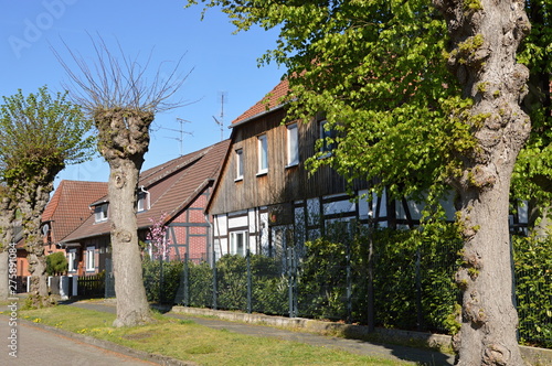 Ahlden, Niedersachsen photo