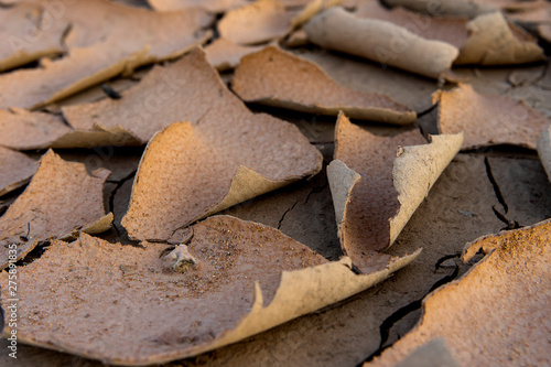 Close up dry soil in summer background.