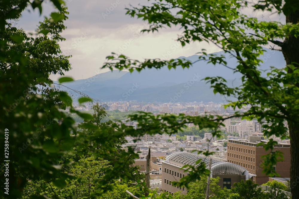the nature of urban japan the nature of urban japan