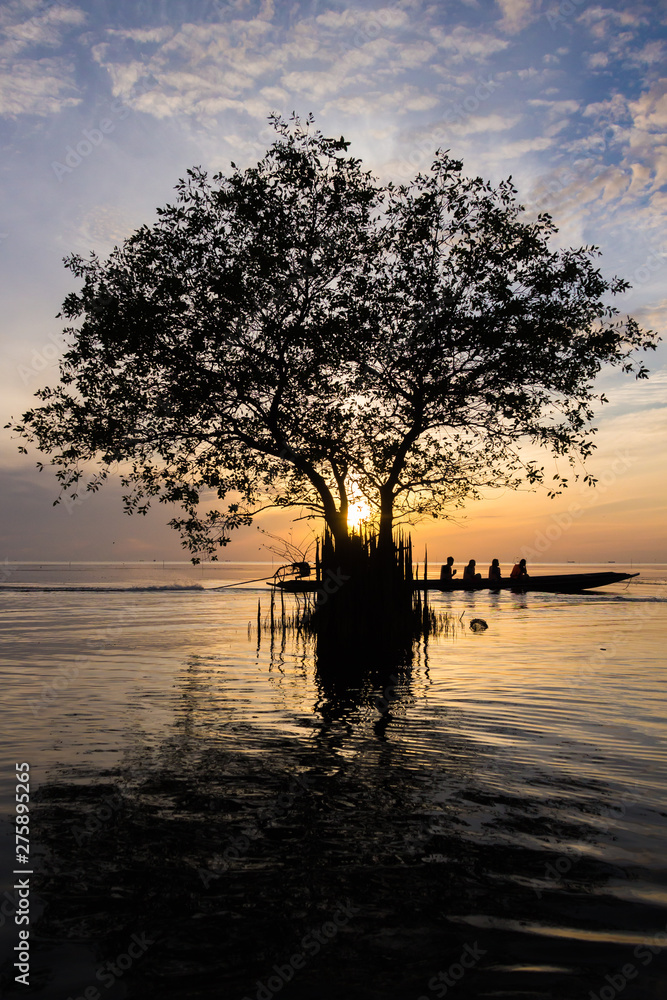 Silhouette of Mangrove apple tree with beautiful sunrise sky background, Cork tree Silhouette of Mangrove apple tree with beautiful sunrise sky background, Cork tree