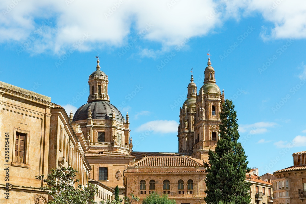 Towers of the oldest university in Salamanca