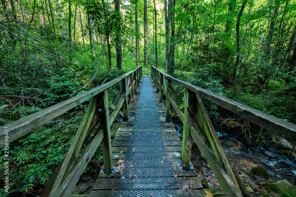Foot Bridge Over Laurel Fork Creek, Jocassee Gorges Wilderness Area, South Carolina Foot Bridge Over Laurel Fork Creek, Jocassee Gorges Wilderness Area, South Carolina