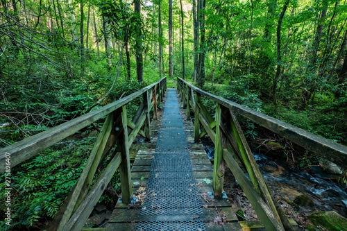 Foot Bridge Over Laurel Fork Creek, Jocassee Gorges Wilderness Area, South Carolina