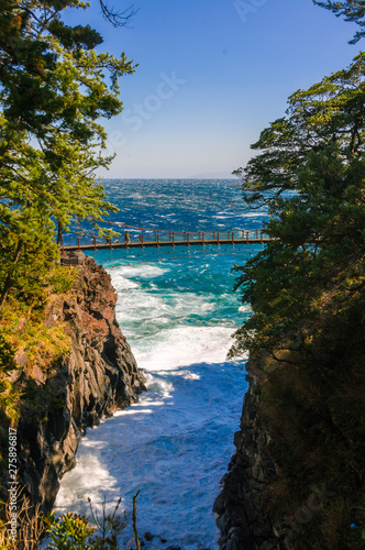 Japan's Izu Suspension Bridge, clear blue sea