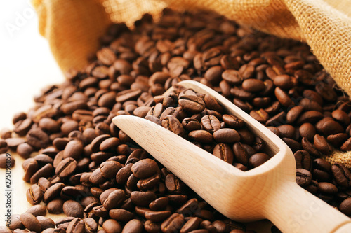 コーヒー豆 Coffee beans 