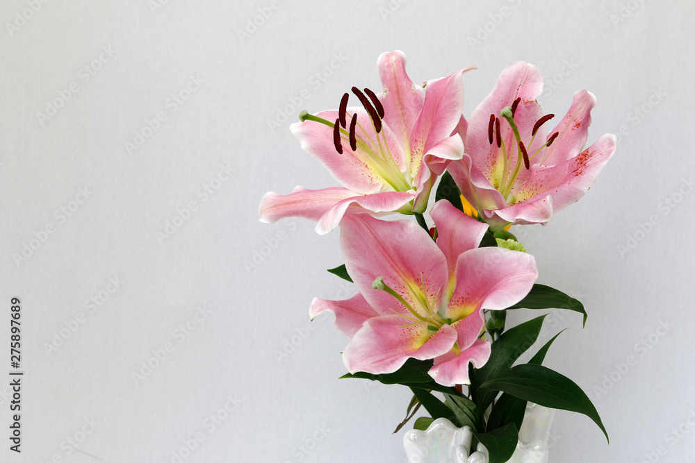 ユリの花 百合の花 ゆりの花 ユリ ピンクの花 Foto De Stock Adobe Stock