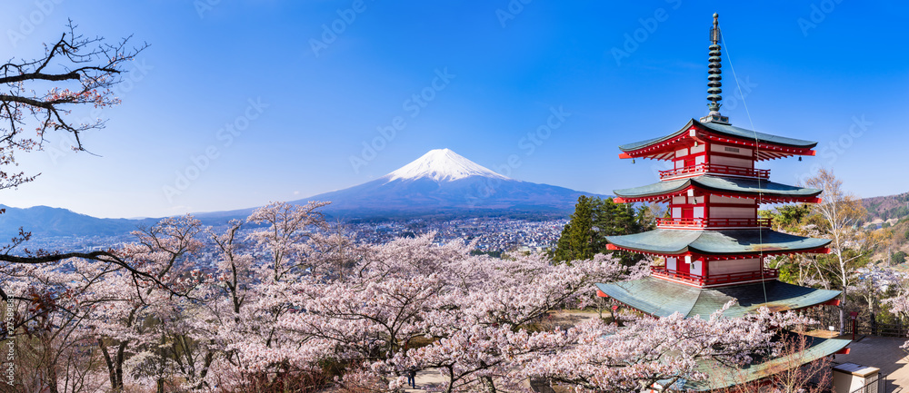 © picture cells - 新倉山浅間公園 満開の桜と富士山 高解像度パノラマ / Scenery of 'Arakurayama Sengen Park' where the cherry blossoms are in full bloom. Mt. Fuji, cherry blossoms, and a red five-storied pagoda. High resolution panoramic photo. © picture cells - 新倉山浅間公園 満開の桜と富士山 高解像度パノラマ / Scenery of 'Arakurayama Sengen Park' where the cherry blossoms are in full bloom. Mt. Fuji, cherry blossoms, and a red five-storied pagoda. High resolution panoramic photo.