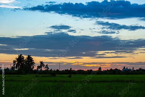 Evening sunset light is orange after the telephone receiver antenna. and trees In the rice paddies.