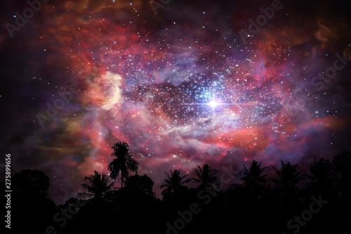 blur ancient stardust nebula back on night cloud sunset sky over coconut trees © darkfoxelixir